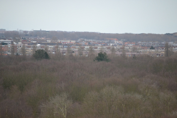DSC 3595