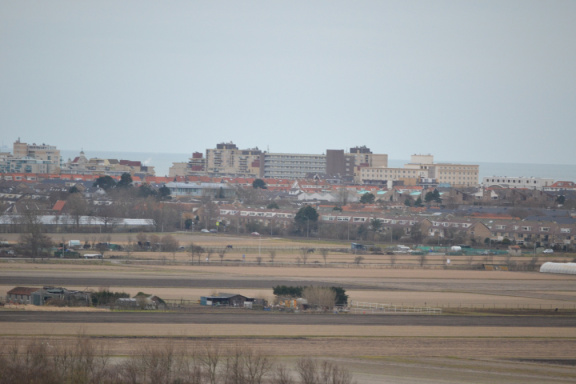 DSC 3605