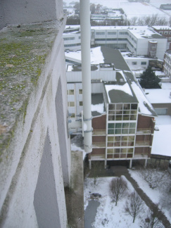 Leeuwenhorst 24