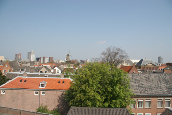 IMG 3786