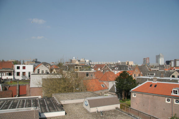 IMG 3788