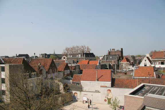 IMG 3790