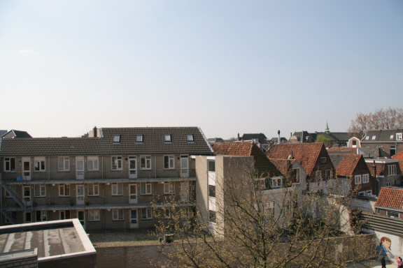 IMG 3792