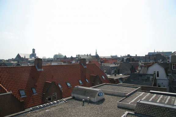 IMG 3795