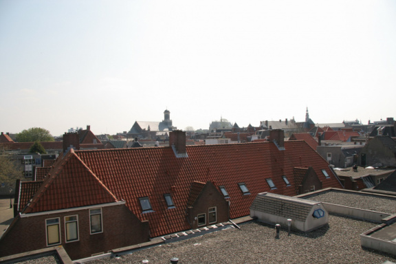 IMG 3796