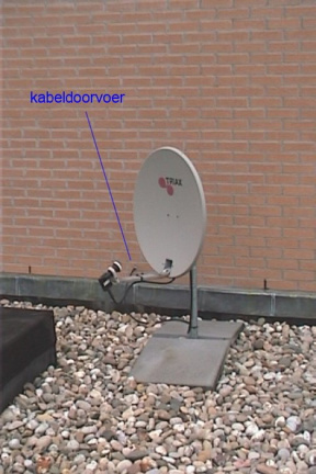 rabo29