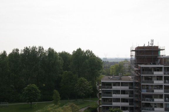 IMG 4517