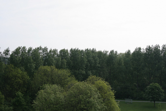 IMG 4518
