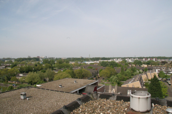 IMG 4542