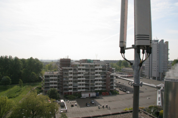 IMG 4547