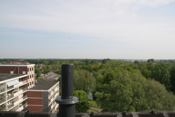 IMG 4551