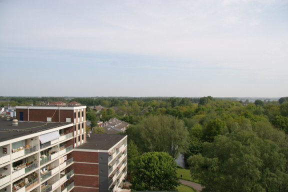 IMG 4552