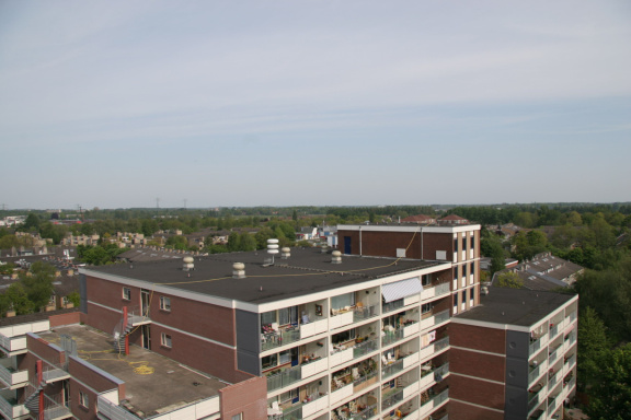 IMG 4553