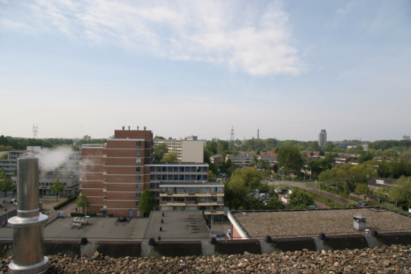 IMG 4558