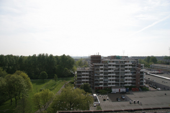 IMG 4562