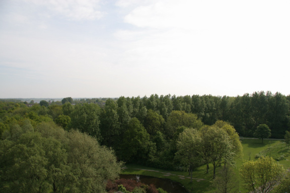 IMG 4564
