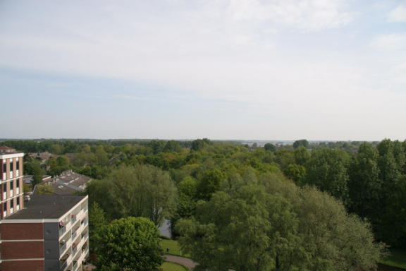 IMG 4566