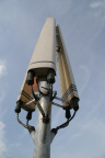 IMG 4582
