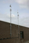 IMG 0805
