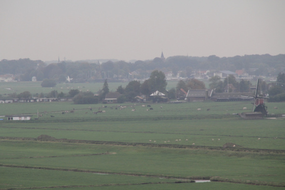 RES-IMG 0383