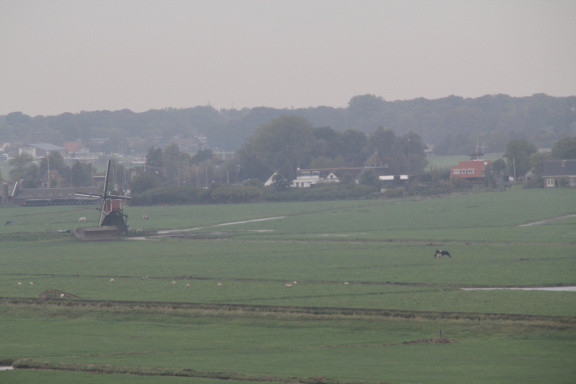 RES-IMG 0384