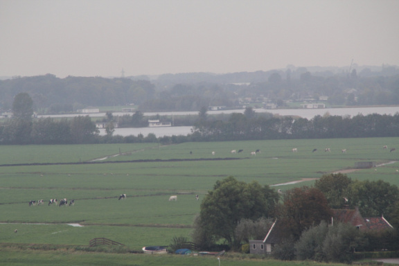 RES-IMG 0385