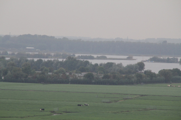 RES-IMG 0394