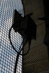 IMG 7218