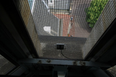 IMG 7296