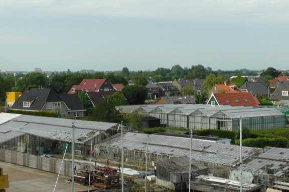 Stenhuis06