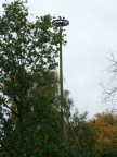 Teylingen-SiteSurvey-2012-075