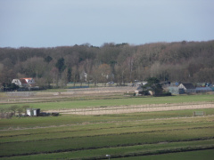 SDC10317
