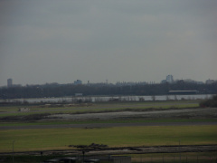 SDC10323