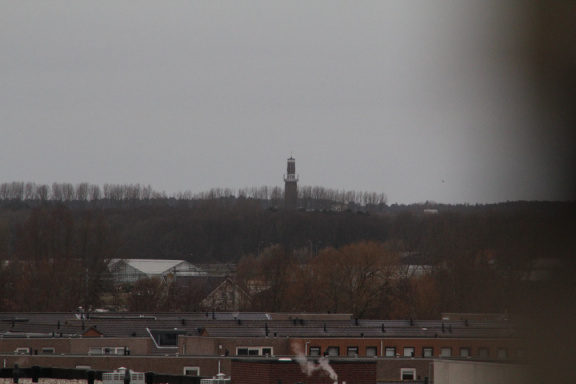 IMG 7913