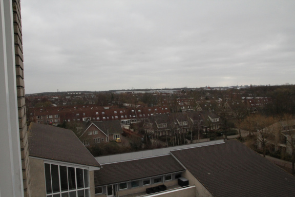 IMG 7921