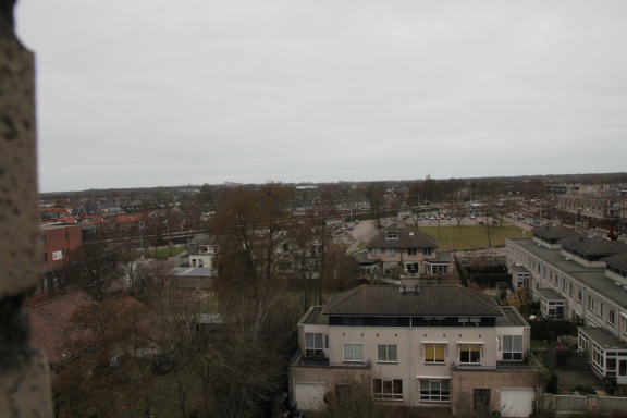 IMG 7931