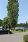 IMG 4577