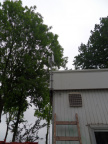 SDC16267