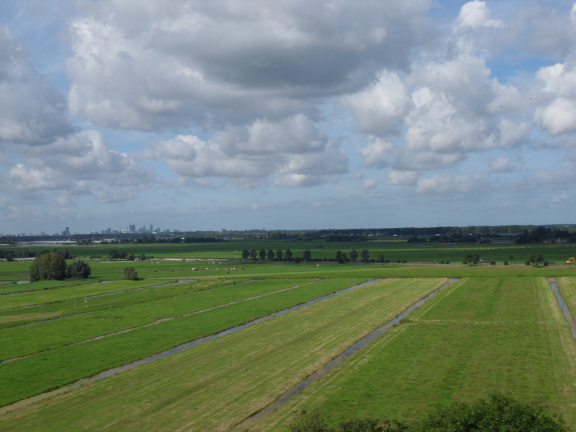 sintjanonthoofdingkerk survey2012 05