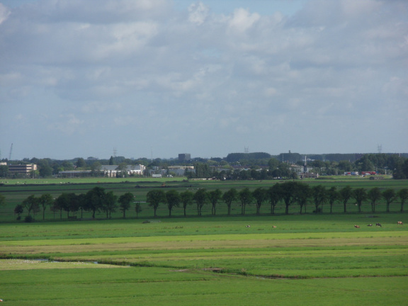 sintjanonthoofdingkerk survey2012 19