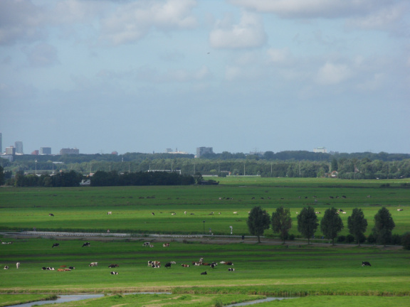 sintjanonthoofdingkerk survey2012 48