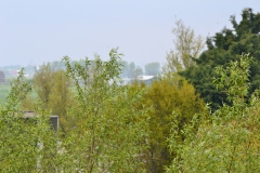 DSC 6965