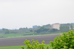 DSC 6983