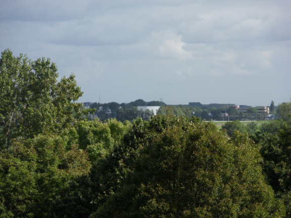 ztw-dorpskerk-sitesurvey-2012-020