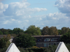 SDC10451